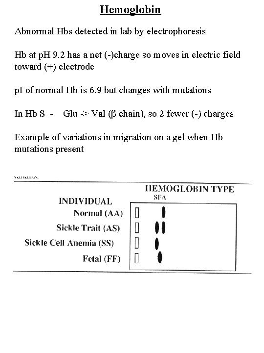 Hemoglobin Abnormal Hbs detected in lab by electrophoresis Hb at p. H 9. 2