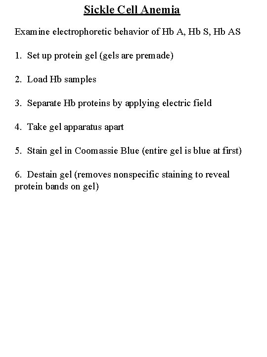 Sickle Cell Anemia Examine electrophoretic behavior of Hb A, Hb S, Hb AS 1. Sickle Cell Anemia Examine electrophoretic behavior of Hb A, Hb S, Hb AS 1.