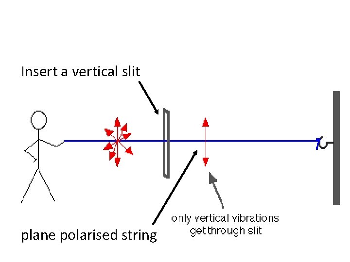 Insert a vertical slit plane polarised string 