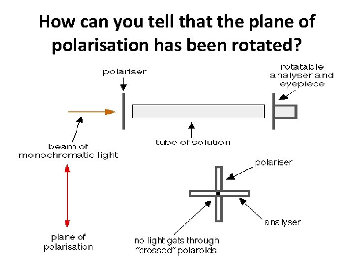 How can you tell that the plane of polarisation has been rotated? 