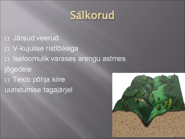 Sälkorud Järsud veerud � V-kujulise ristlõikega � Iseloomulik varases arengu astmes jõgedele � Tekib