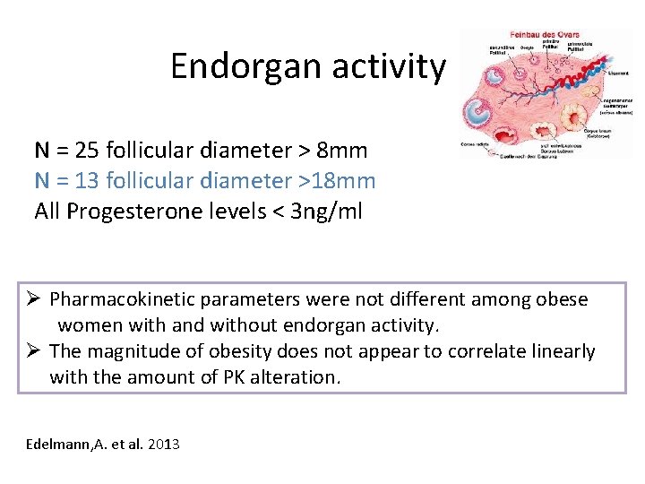 Endorgan activity N = 25 follicular diameter > 8 mm N = 13 follicular