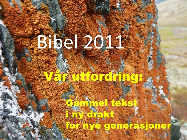   Bibel 2011 Vår utfordring: Gammel tekst i ny drakt for nye generasjoner 