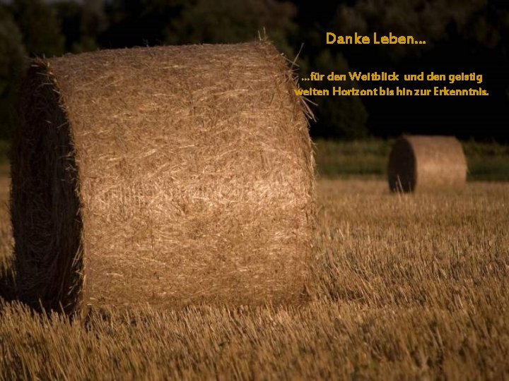 Danke Leben… …für den Weitblick und den geistig weiten Horizont bis hin zur Erkenntnis.