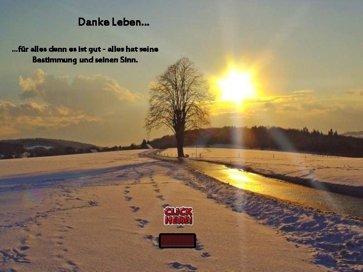 Danke Leben… …für alles denn es ist gut - alles hat seine Bestimmung und