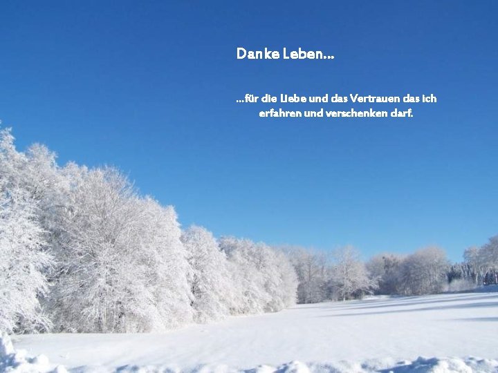 Danke Leben… …für die Liebe und das Vertrauen das ich erfahren und verschenken darf.