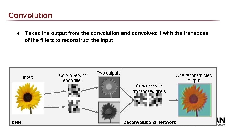 Convolution ● Takes the output from the convolution and convolves it with the transpose