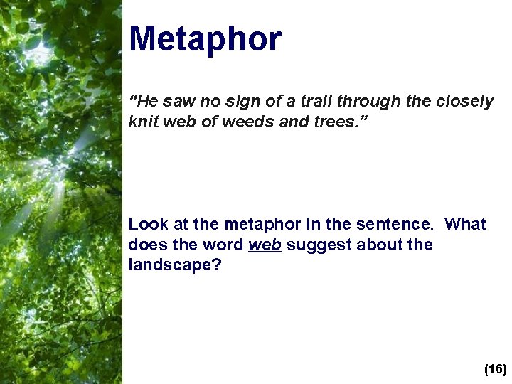 Metaphor “He saw no sign of a trail through the closely knit web of