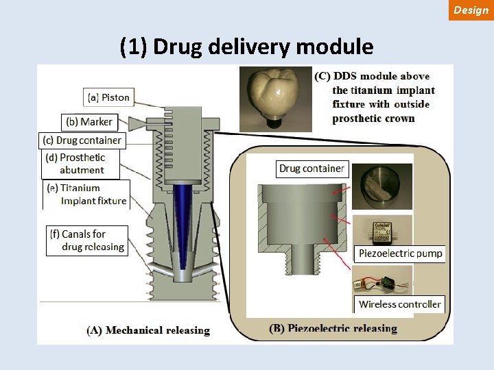 Design (1) Drug delivery module 
