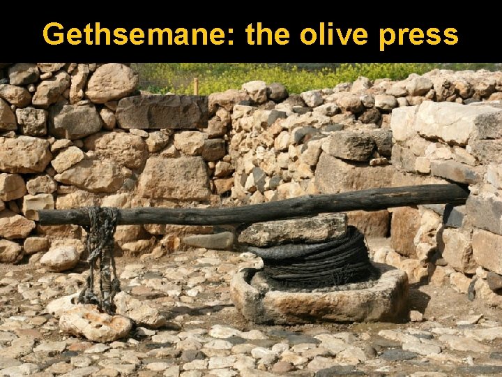 Gethsemane: the olive press 