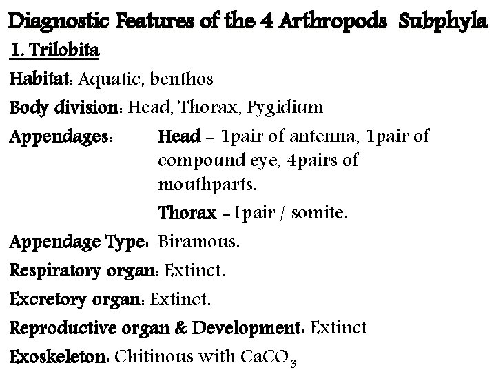 Diagnostic Features of the 4 Arthropods Subphyla 1. Trilobita Habitat: Aquatic, benthos Body division: