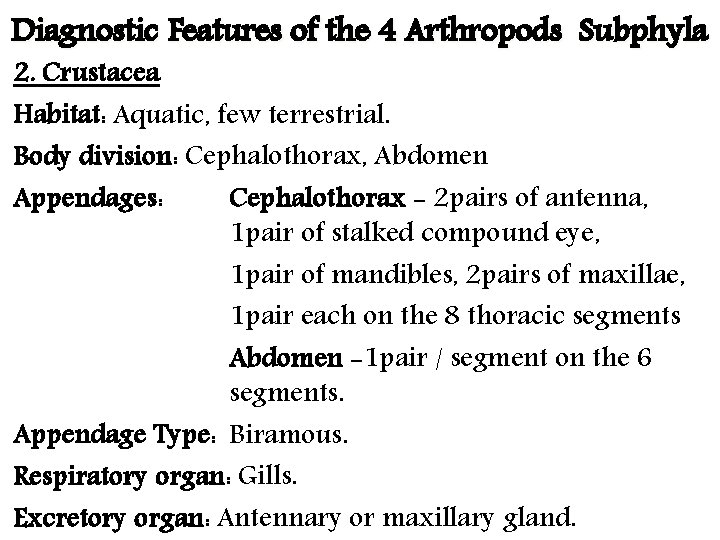 Diagnostic Features of the 4 Arthropods Subphyla 2. Crustacea Habitat: Aquatic, few terrestrial. Body