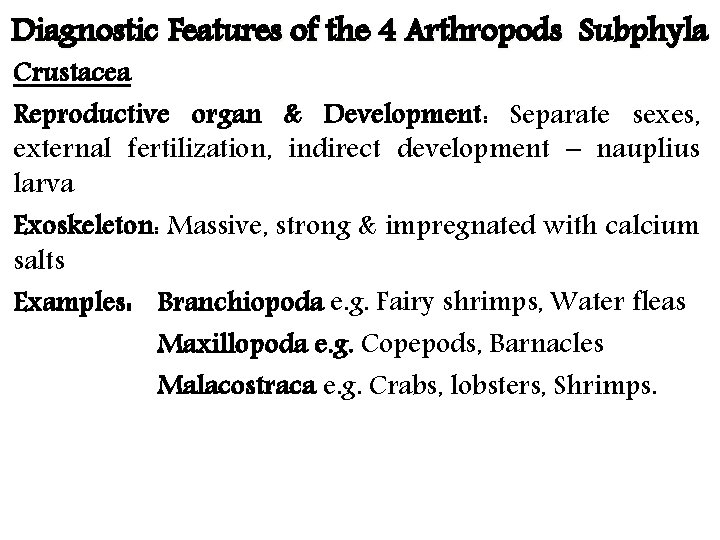 Diagnostic Features of the 4 Arthropods Subphyla Crustacea Reproductive organ & Development: Separate sexes,