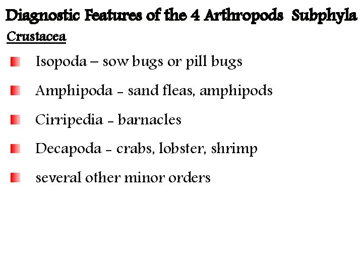 Diagnostic Features of the 4 Arthropods Subphyla Crustacea Isopoda – sow bugs or pill