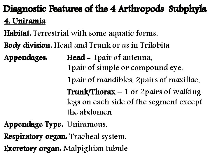 Diagnostic Features of the 4 Arthropods Subphyla 4. Uniramia Habitat: Terrestrial with some aquatic