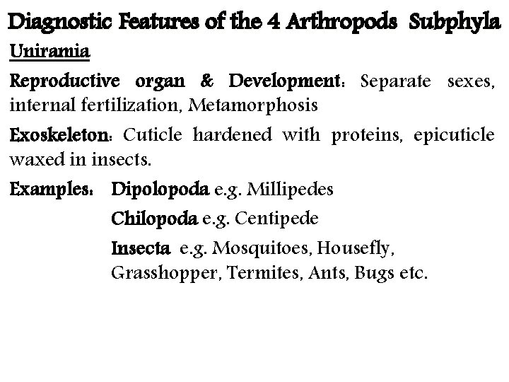 Diagnostic Features of the 4 Arthropods Subphyla Uniramia Reproductive organ & Development: Separate sexes,