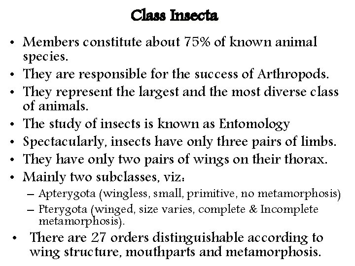 Class Insecta • Members constitute about 75% of known animal species. • They are