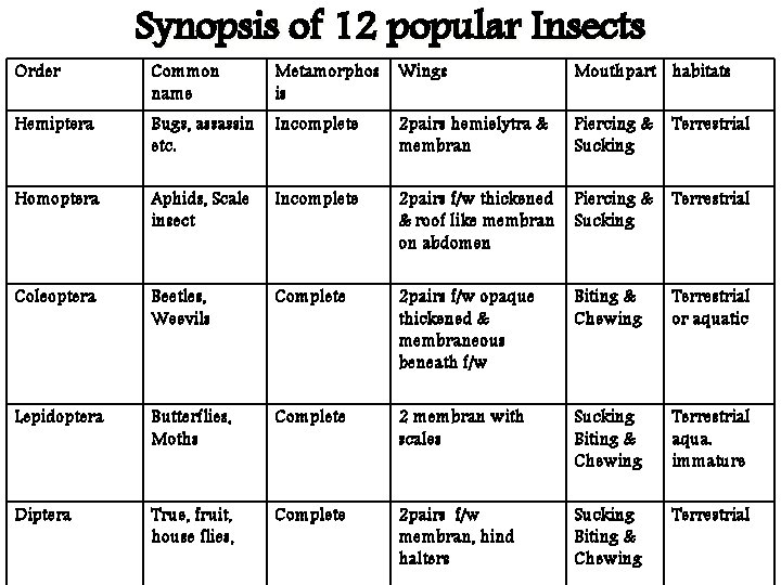 Order Synopsis of 12 popular Insects Common name Metamorphos is Wings Mouthpart habitats Hemiptera