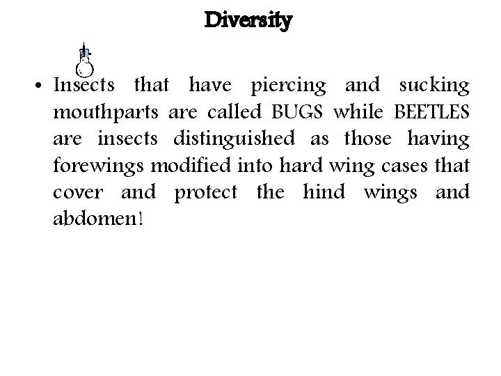 Diversity • Insects that have piercing and sucking mouthparts are called BUGS while BEETLES