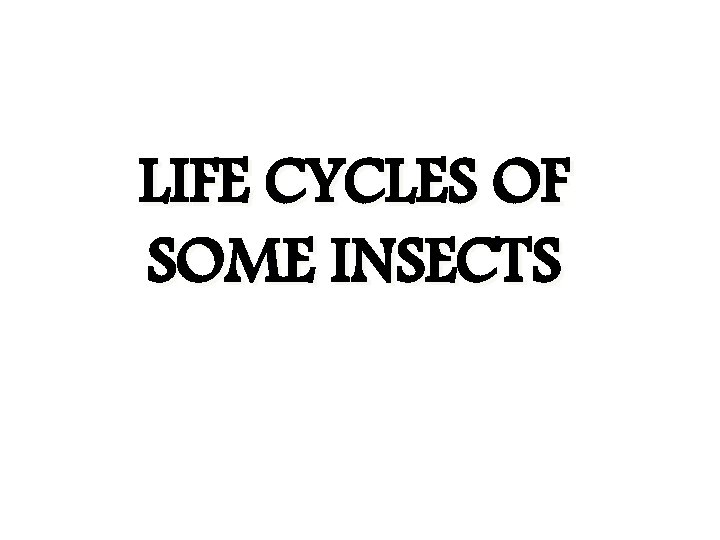 LIFE CYCLES OF SOME INSECTS 