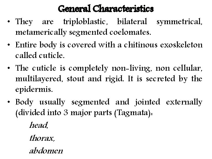 General Characteristics • They are triploblastic, bilateral symmetrical, metamerically segmented coelomates. • Entire body