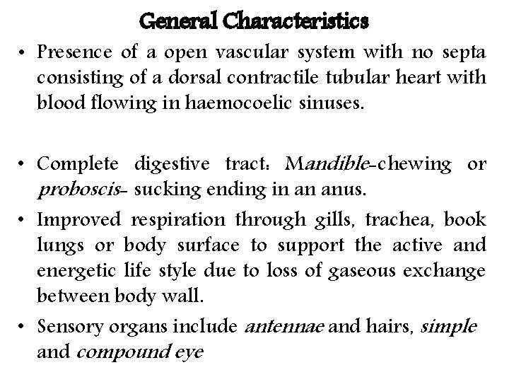 General Characteristics • Presence of a open vascular system with no septa consisting of