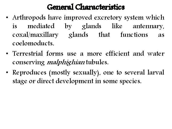General Characteristics • Arthropods have improved excretory system which is mediated by glands like