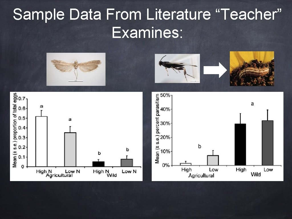 Sample Data From Literature “Teacher” Examines: a b 