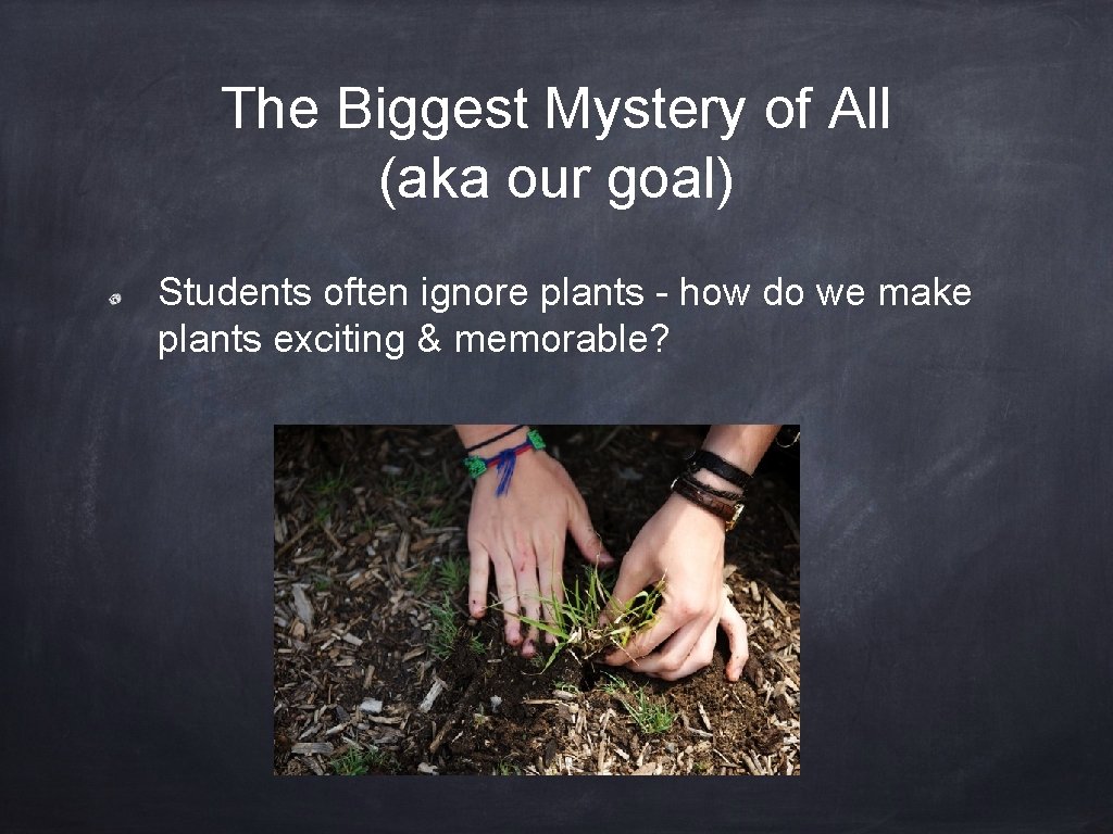 The Biggest Mystery of All (aka our goal) Students often ignore plants - how