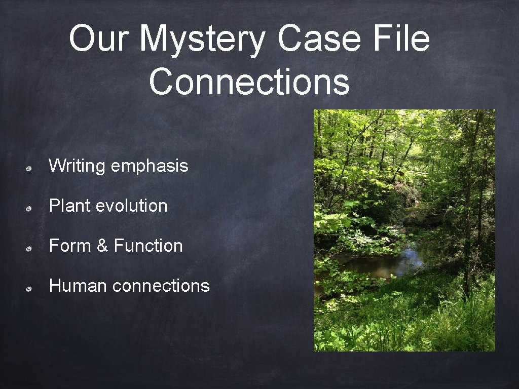 Our Mystery Case File Connections Writing emphasis Plant evolution Form & Function Human connections