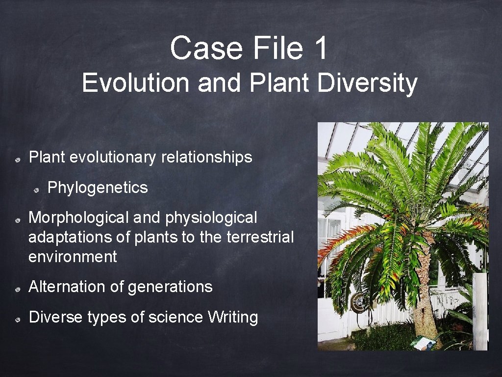 Case File 1 Evolution and Plant Diversity Plant evolutionary relationships Phylogenetics Morphological and physiological