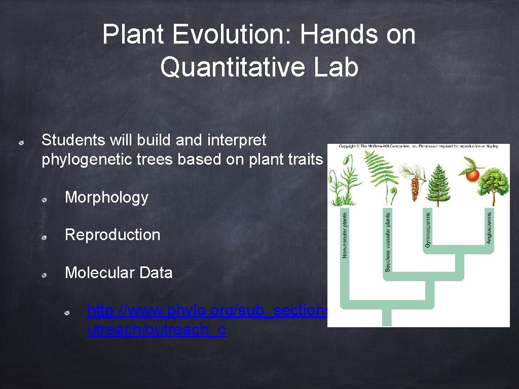 Plant Evolution: Hands on Quantitative Lab Students will build and interpret phylogenetic trees based