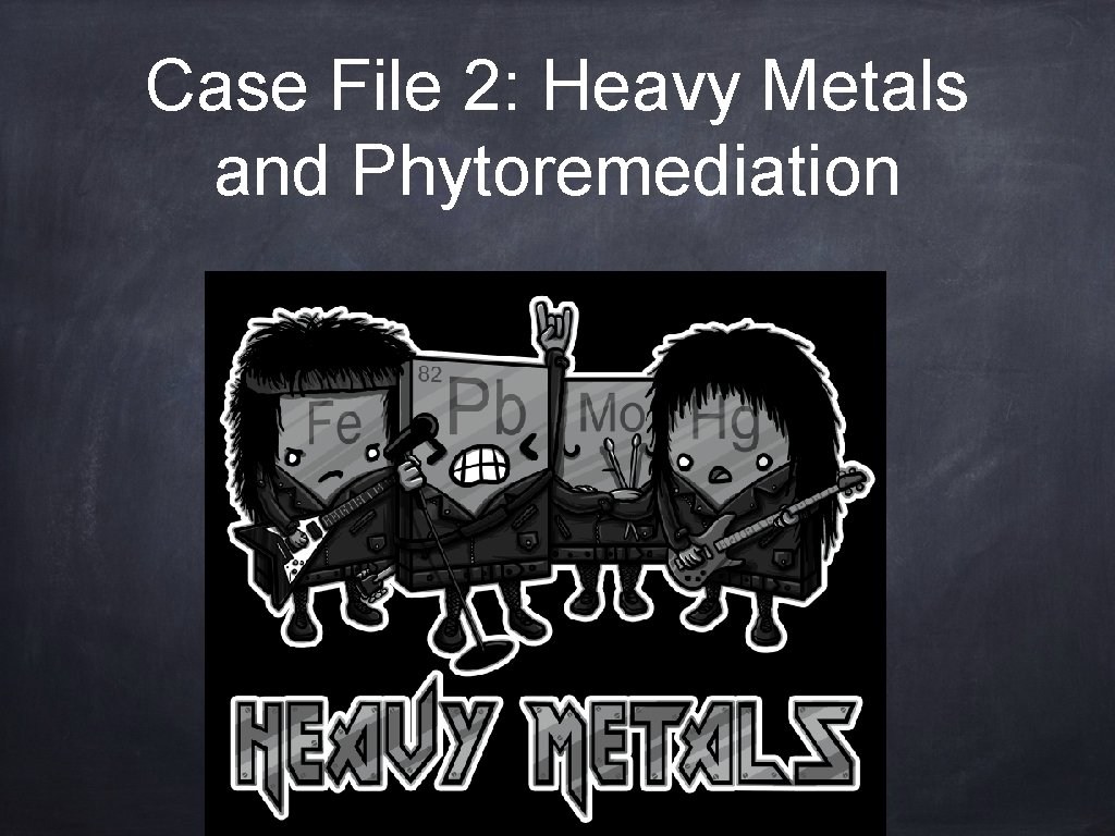 Case File 2: Heavy Metals and Phytoremediation 