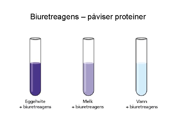 Biuretreagens – påviser proteiner 