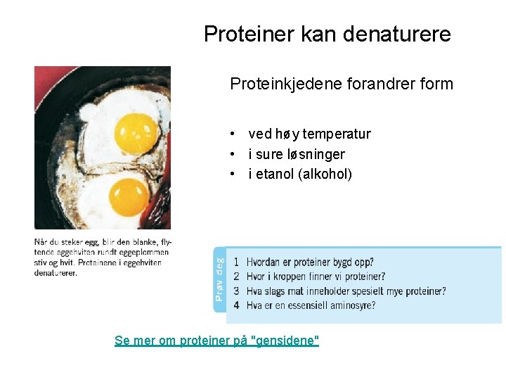Proteiner kan denaturere Proteinkjedene forandrer form • ved høy temperatur • i sure løsninger