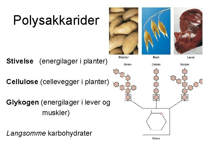 Polysakkarider Stivelse (energilager i planter) Cellulose (cellevegger i planter) Glykogen (energilager i lever og