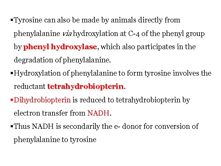 § Tyrosine can also be made by animals directly from phenylalanine via hydroxylation at § Tyrosine can also be made by animals directly from phenylalanine via hydroxylation at