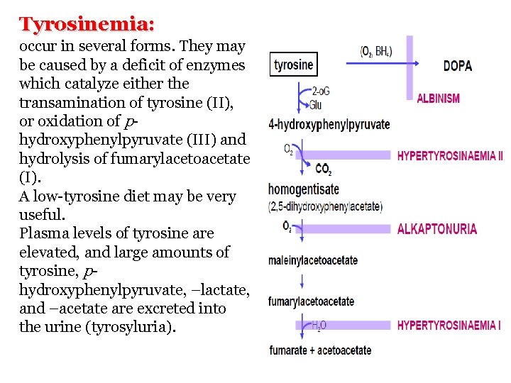 Tyrosinemia: occur in several forms. They may be caused by a deficit of enzymes
