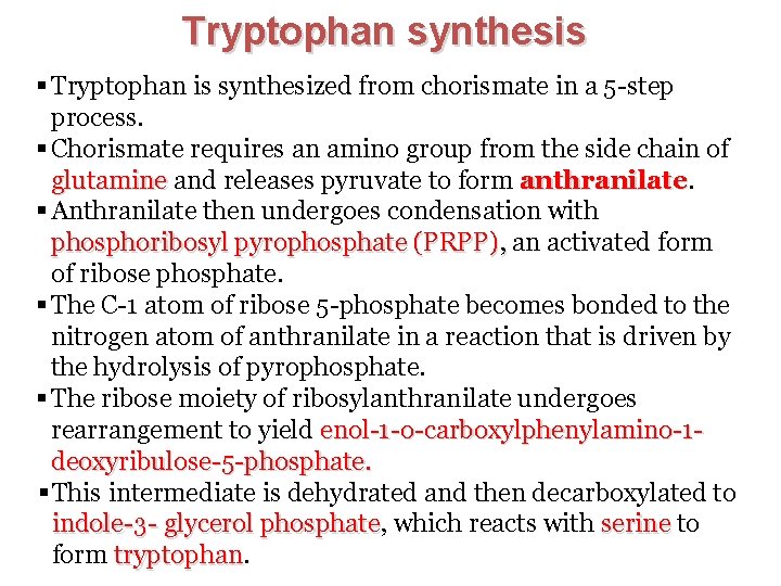 Tryptophan synthesis § Tryptophan is synthesized from chorismate in a 5 -step process. §