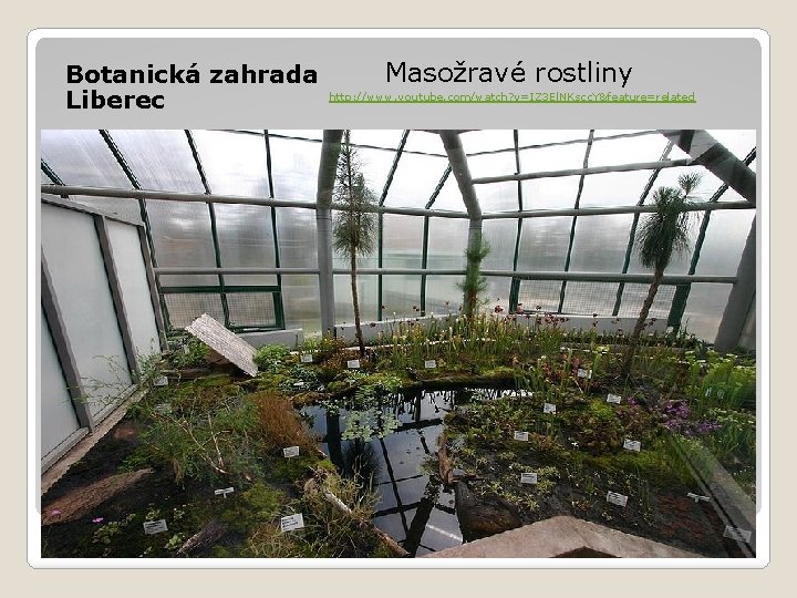 Botanická zahrada Liberec Masožravé rostliny http: //www. youtube. com/watch? v=IZ 3 El. NKscc. Y&feature=related