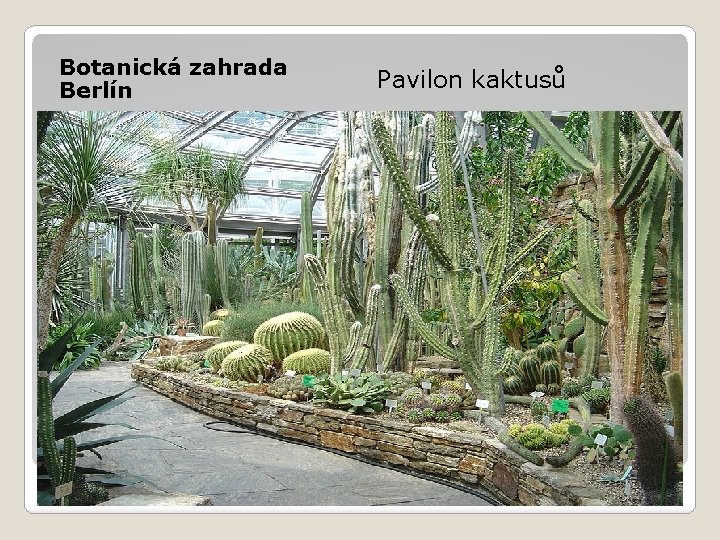 Botanická zahrada Berlín Pavilon kaktusů 