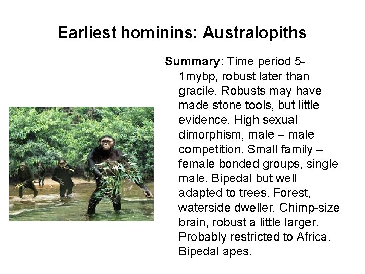 Earliest hominins: Australopiths Summary: Time period 51 mybp, robust later than gracile. Robusts may