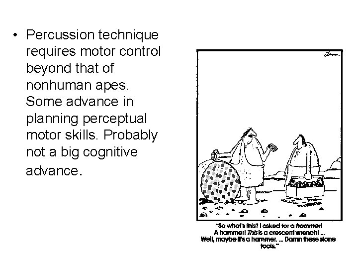  • Percussion technique requires motor control beyond that of nonhuman apes. Some advance