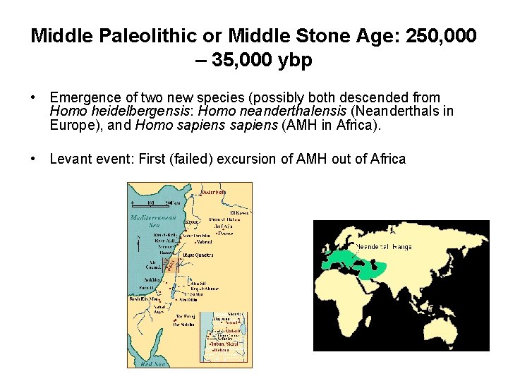 Middle Paleolithic or Middle Stone Age: 250, 000 – 35, 000 ybp • Emergence