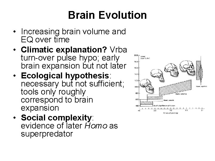 Brain Evolution • Increasing brain volume and EQ over time • Climatic explanation? Vrba