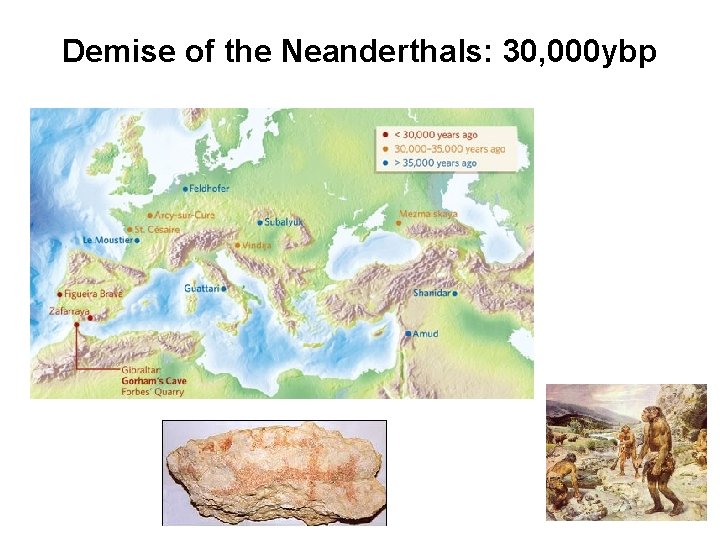Demise of the Neanderthals: 30, 000 ybp 