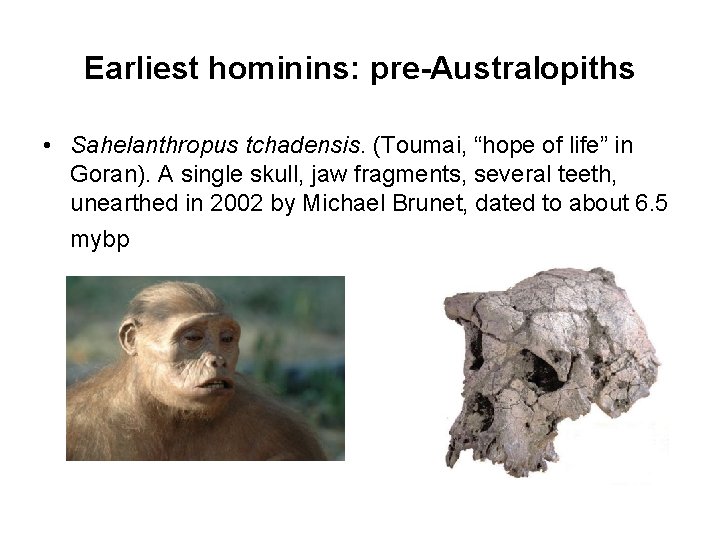 Earliest hominins: pre-Australopiths • Sahelanthropus tchadensis. (Toumai, “hope of life” in Goran). A single