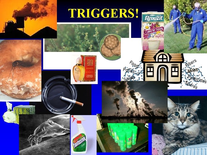 TRIGGERS! 