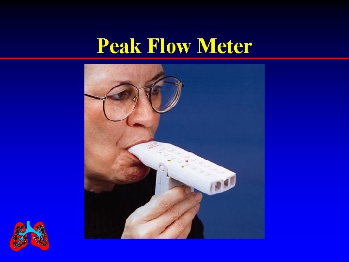 Peak Flow Meter 