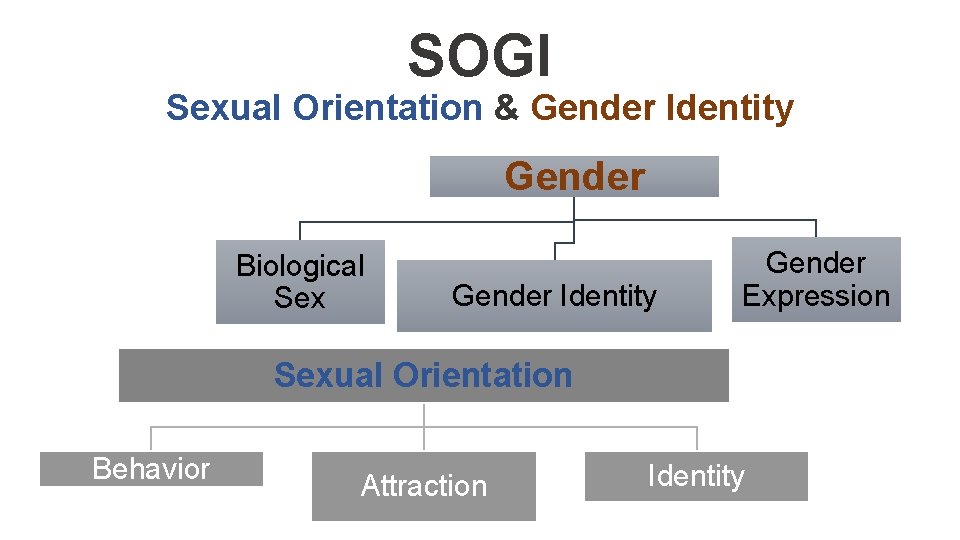 SOGI Sexual Orientation & Gender Identity Gender Biological Sex Gender Identity Gender Expression Sexual